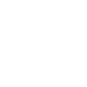 feature-icon