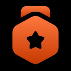 ستاره مدال نماد کیفیت و برتری