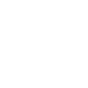 feature-icon